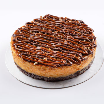 Cheesecake Tortuga